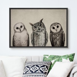 SIGNFORD Framed Canvas Print Wall Art Variety of Owl Portraits Vintage Antique Farmhouse Decor Nature Animals Modern Art Realism Cozy Decorative Colorful Multicolor for Bedroom - 16"x24" Black