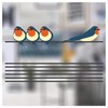 I Like Birds - 4 Swallows on Wire Window Stickers
