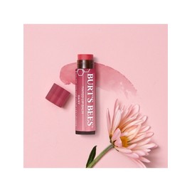 Burt's Bee Tinted Lip Balm Daisy / 버츠비 틴티드립밤 데이지