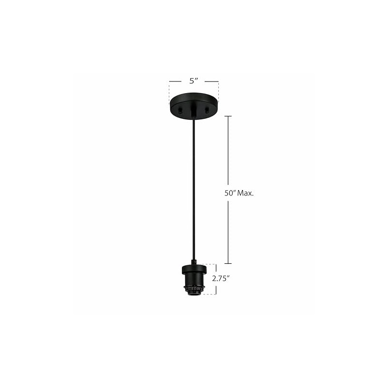 Westinghouse Lighting 6346814 One-Light Black Pendant Kit