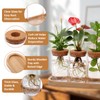 Zhehao 5 Pack Plant Propagation Station Hydroponic Glass Jar Terrarium