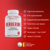 Ultra High Strength Berberine HCl - 97% Purity Extract Wild