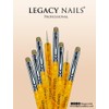 Legacy Nails Professional FRENCH BRUSH #12 WITH DOTTING TOOL -