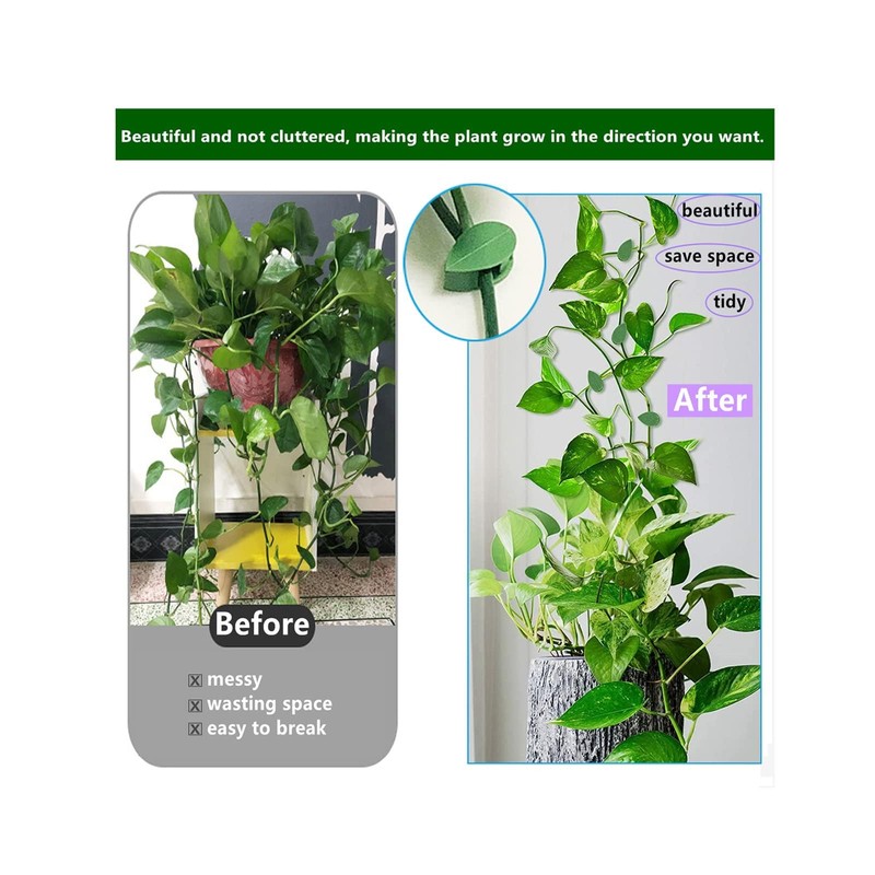 zalati Plant Climbing Supports 50 Pieces Plant Clips Wall Mount