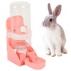 AllBright Water Bottle Water Fountain Drinker Bunny Water Bottle Rabbit