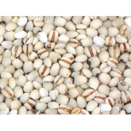 Sakurai Foods Demon Barley, 5.3 oz (150 g)