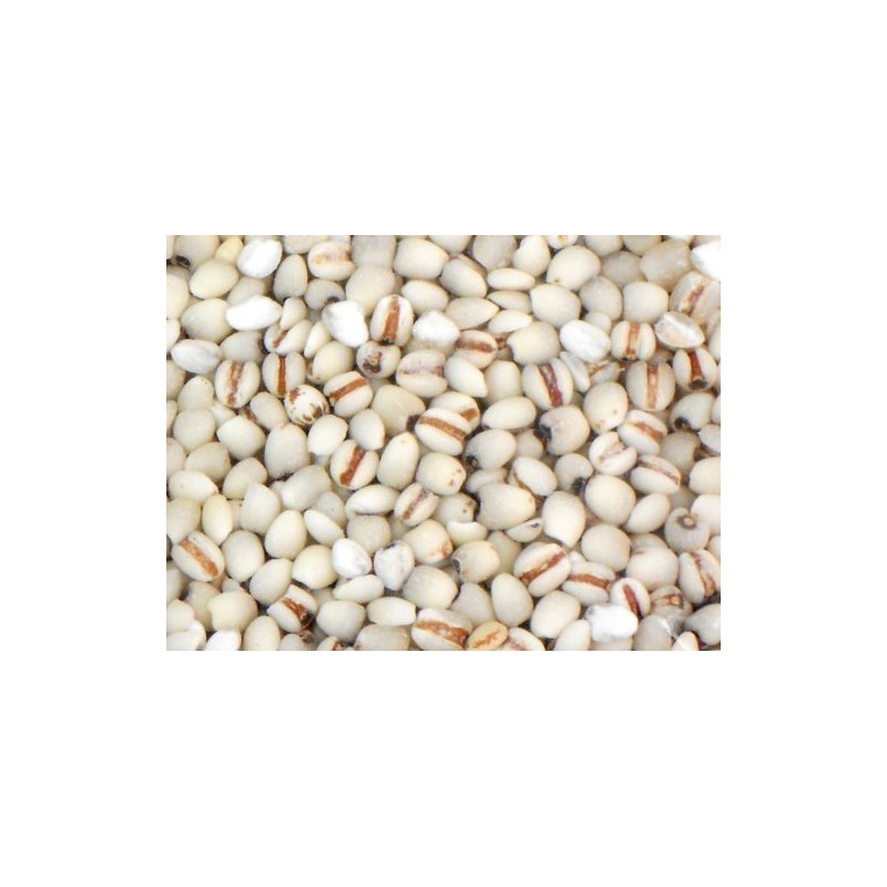 Sakurai Foods Demon Barley, 5.3 oz (150 g)