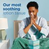 Puffs Plus Lotion Facial Tissues, 8 Family Boxes, 124 Facial