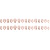 30Pcs Gold Silver French Tip Press on Nails Short Almond