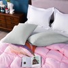 NTBAY Egyptian Cotton Queen Pillowcases - Set of 2, 500