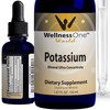 WellnessOne Ionic Potassium Supplement - Potassium Chloride Drops for Fast