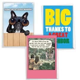 NobleWorks Assortment Pack of 3 Hilarious Thank You Greeting Cards (Neighbor) with Envelopes (3 Designs, 1 Each) Grateful Neighbors VC10240TYG-C1x3