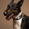Waterproof Air tag Holder for Dog Collar, Silicone & ABS