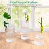 UNOONE Plant Propagation Buddy, 3PCS Plant Support for Sprouts, Stems,