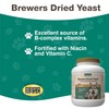 NaturVet NaturVet C Brewers Dried Yeast Formula with Garlic Flavoring