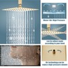 Aolemi Ceiling Mount Shower System Rain Shower Head with Handheld
