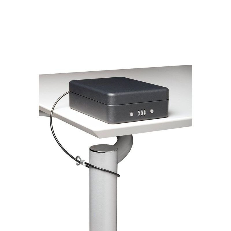 Arregui C9427 Security Box with Cable for fixing, Black