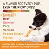 Earth Animal No Hide Strips - Natural Rawhide Free Dog
