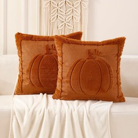 VAKADO Fall Throw Pillow Covers 18x18 Set of 2 Outdoor Decoration Pumpkin Couch Burnt Orange Decorative Home Decor for Bed Sofa Bedroom Office