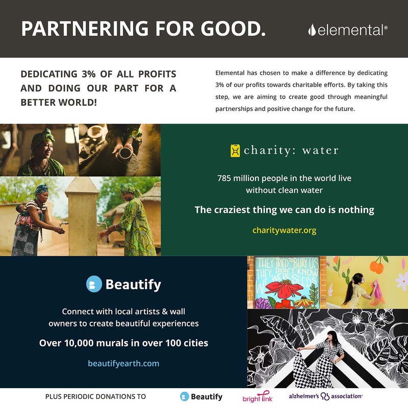 Elemental Iconic Charm Water Bottle 14oz Strap - Rose