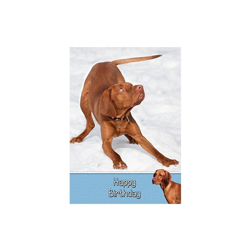 Vizsla Birthday Card