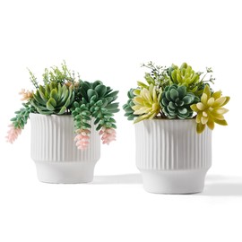 ASTRIDIA Artificial Succulent Plants, Faux Assorted Succulents Fake Plants in White Ceramic Pots for Home Decor, Bedroom, Office, Desk, Living Room, Set of 2