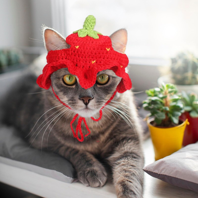 Strawberry Cat Hat, Cartoon Strawberry Design Knit Hat, Cotton &