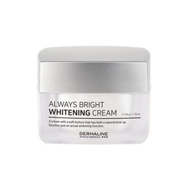 Always Bright Whitening Cream 50g / 올웨이즈 브라이트 화이트닝 크림 50g