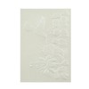 Briartw 3D Embossing Folder for Card Making,Hummingbird Clear Plastic Texture