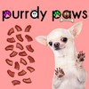 Purrdy Paws 3 Month Supply Soft Nail Caps for Dog
