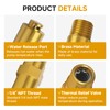7101359 Pressure Washer Thermal Relief Valve, Compatible with Simpson Gas