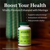 Greens First Green Tea Vitality Formula - Enhanced with Moringa
