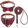 KOOLTAIL- Conjunto de collar y correa para perros pequeños con
