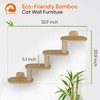 Wall-Mounted Cat Furniture for Climbing - Indoor Wooden Floating Shelves,
