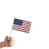 10 PCS United States Handheld Small Flag, Americans Hand held