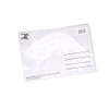 3D Postcard Chameleon Postcard Wobble Card Hologram Card Animal Lizard