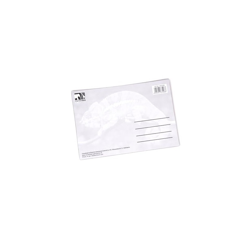 3D Postcard Chameleon Postcard Wobble Card Hologram Card Animal Lizard