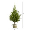 Nearly Natural 3.5ft. Cedar Pine “Natural Look” Artificial Tree in