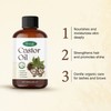 [100% natural] Eyebrow growth liquid whisker growth essence, Eyebrow Growth