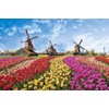 Yanoman 1000 Piece Jigsaw Puzzle Tulip and Windmill (Netherlands) (50x75cm)
