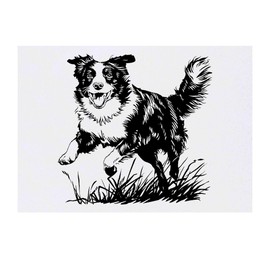 Azeeda ' Border Collie läuft auf Gras' Temporäres Tattoo - Hautfreundlicher & Ungiftiger Abziehbild · Wasserfest (TO00083375)