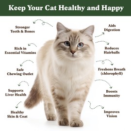 Seedboy Organic Cat Grass Seeds for Planting, Non-GMO Wheat, Oat, Rye, and Barley Pet Grass Seeds for Indoor Cats (16 oz)