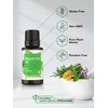 Horbäach Peppermint Essential Oil | .51 fl oz (15mL) |