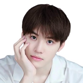 J&S Men's Wig, 100% Human Hair Wig, Men's Wig, Casual, Breathable, Business Room, Aged Friendly..