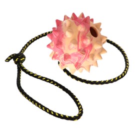 DINGO Spiky Dog Ball - Fully Rubber-Filled, with 60 cm Long Rope - Suitable for Fetching, Dog Sports, Agility, Playtime - Large Size - Random Colour (17323-2)