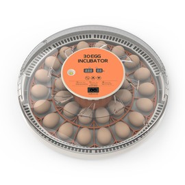 30 Eggs Incubator with Automatic Egg Turning with External Injection Water Bottle - Household Small Poultry Hatching Machine with Egg Candler Light for Chicken, Ducks, Pigeons,Bird (US Plug)