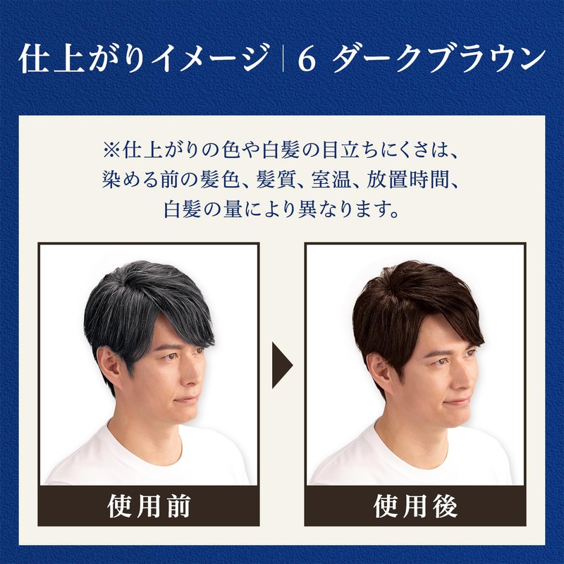 TAKUMI Hoyu Men's Bigen Men's Gray Hair Dye, 6 Dark