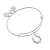 Alex and Ani Horseshoe Charm Bangle