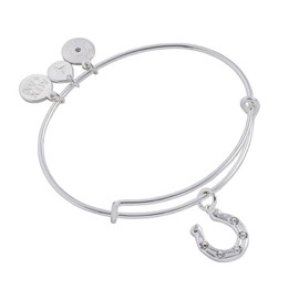 Alex and Ani Horseshoe Charm Bangle