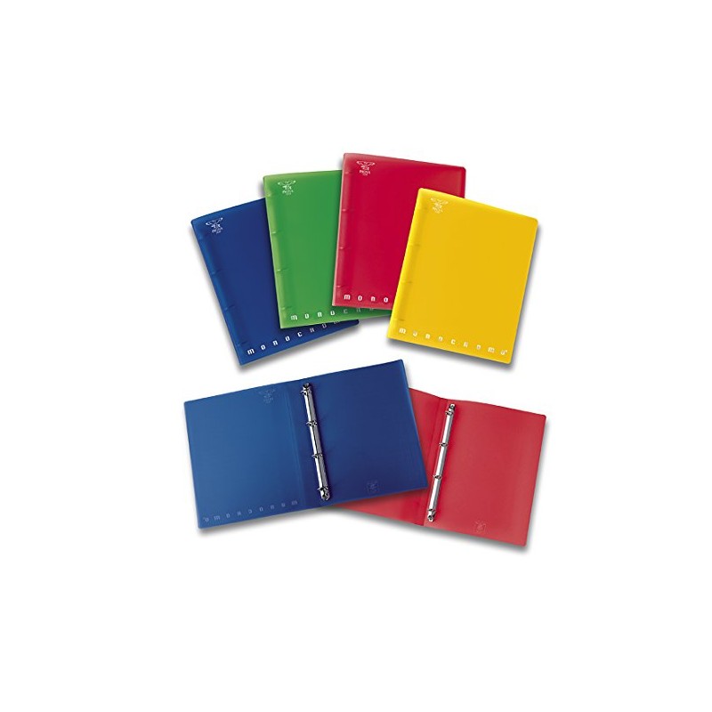 Pigna 021966416 Ring Binder A4 21 x 29.7 cm